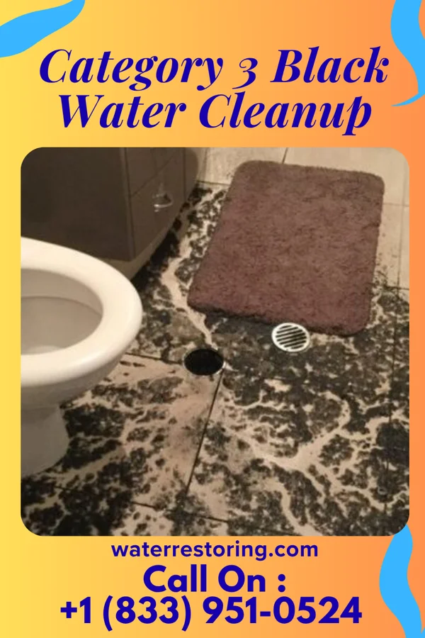 Category 3 Black Water Cleanup in Palos Hills, IL