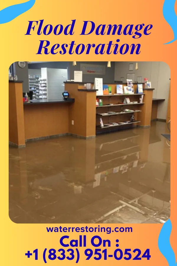 Flood Damage Restoration in Palos Hills, IL