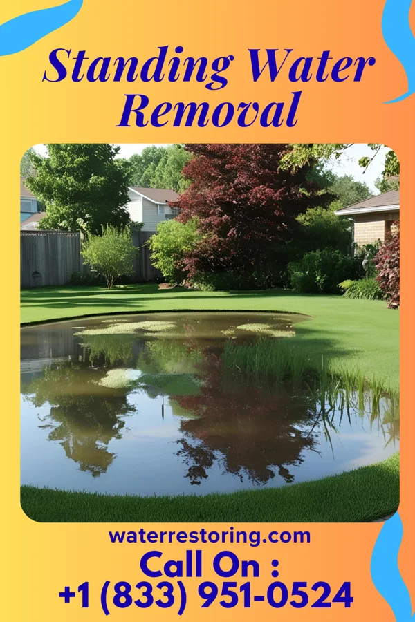 Standing Water Removal in Palos Hills, IL